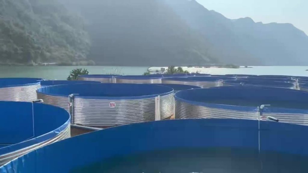 Agricultural Reservoir Tank for Seasonal Water Storage