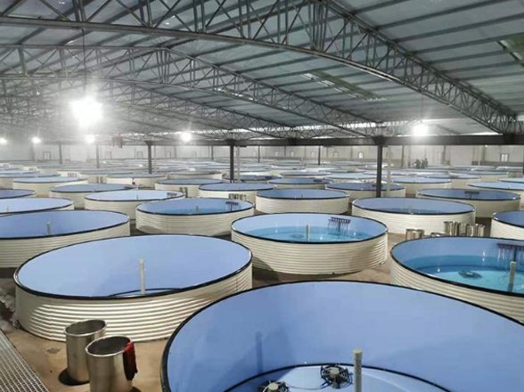 Modular Galvanized Fish Pond for Tilapia Projects